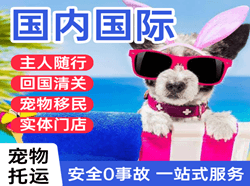 和田昆冈机场邮寄国际宠物托运 【国